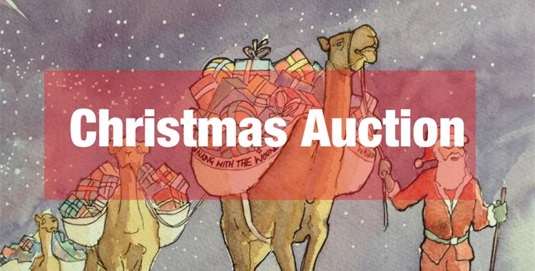 Image for Walking with the Wounded News - BIDDING JUST OPENED ON WALKING WITH THE WOUNDED’S CHRISTMAS AUCTION! / (Christmas auction
 - Christmas auction
 )